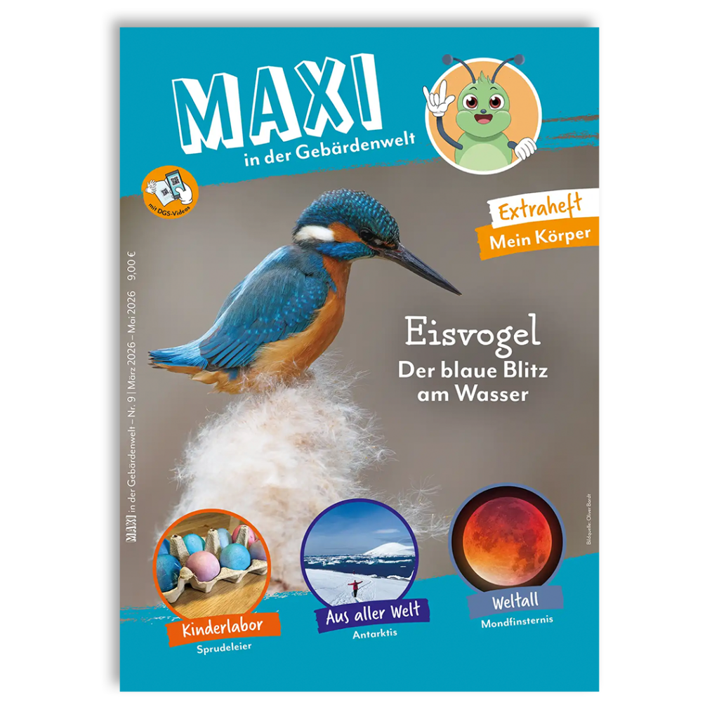 Cover der MAXI Zeitschrift Ausgabe 9