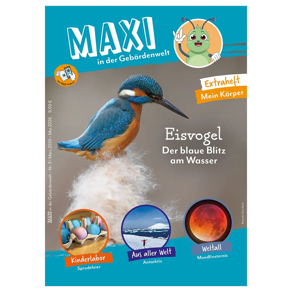 Cover der MAXI Nr. 9
